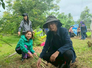 สำนักงานสหกรณ์จังหวัดเชียงราย จัดกิจกรรมปลูกพืชสมุนไพร ... พารามิเตอร์รูปภาพ 35